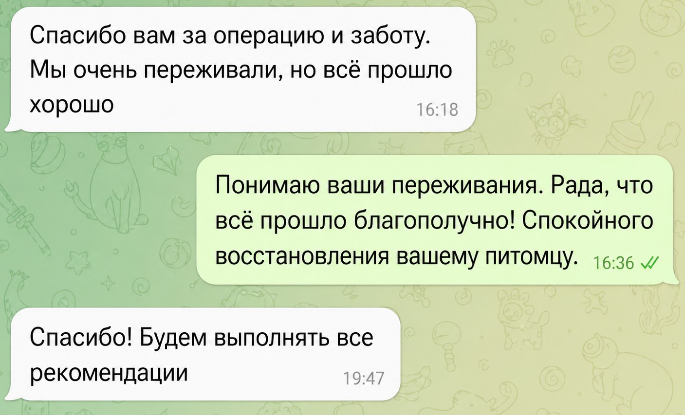 Скриншот отзыва владельца питомца 1