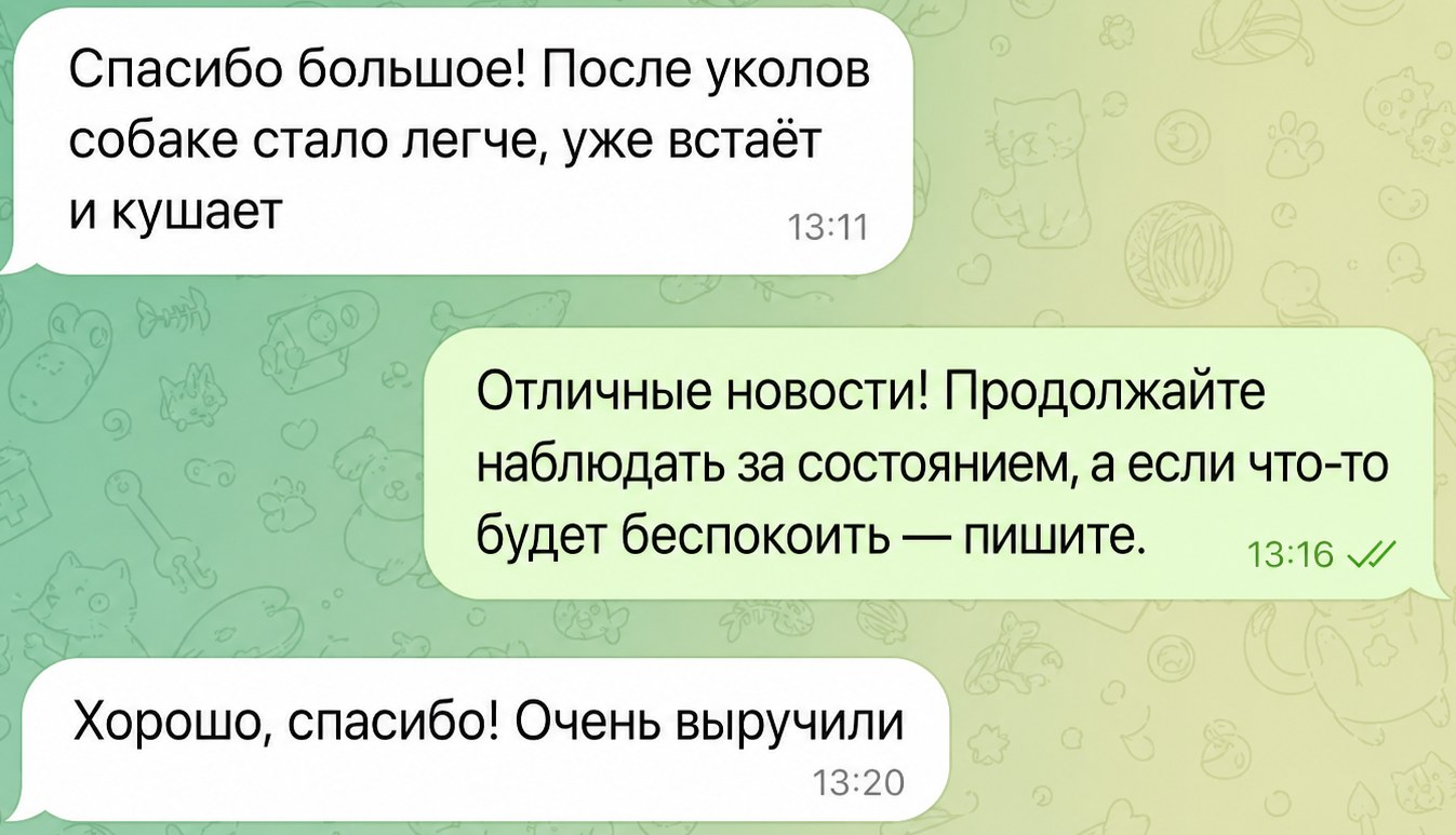 Скриншот отзыва владельца питомца 3