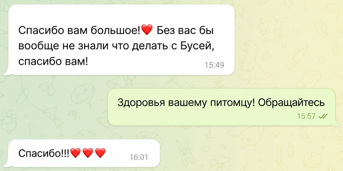 Скриншот отзыва владельца питомца 4