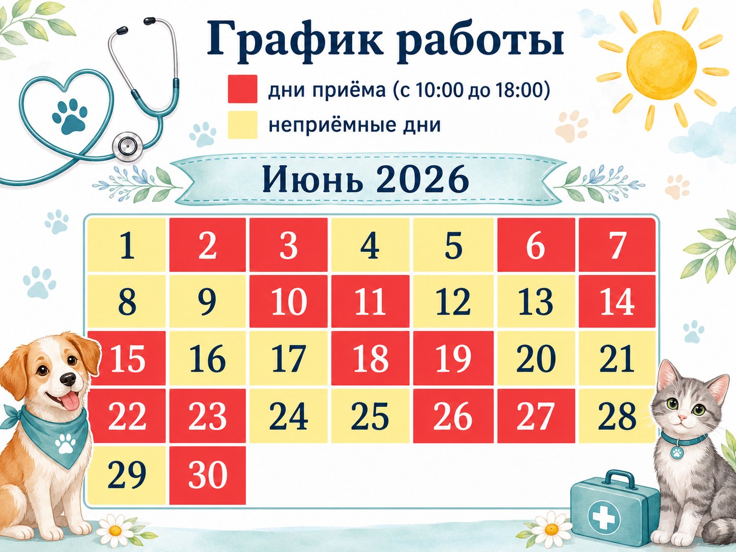 График работы Доктор Е. на июнь 2026 года